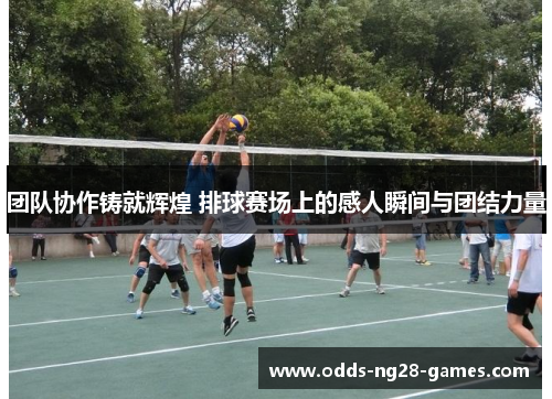 团队协作铸就辉煌 排球赛场上的感人瞬间与团结力量