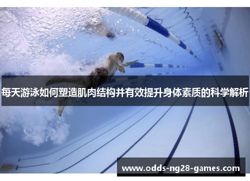 每天游泳如何塑造肌肉结构并有效提升身体素质的科学解析