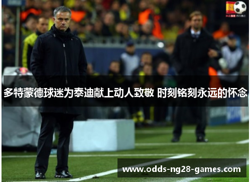 多特蒙德球迷为泰迪献上动人致敬 时刻铭刻永远的怀念