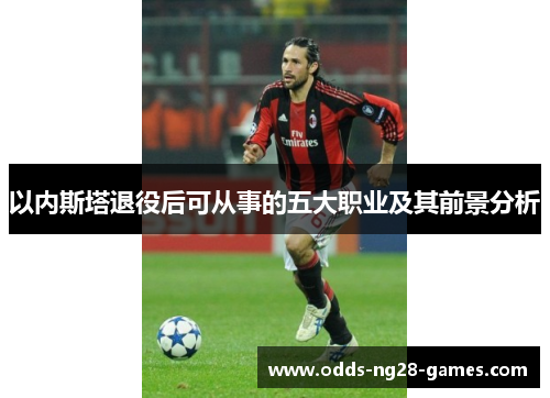 以内斯塔退役后可从事的五大职业及其前景分析