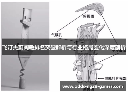 飞汀杰蔚阀敏排名突破解析与行业格局变化深度剖析 飞汀杰蔚阀敏排名突破解析与行业格局变化深度剖析