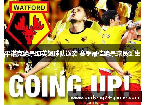 平诺克绝杀助英超球队逆袭 赛季最佳绝杀球员诞生