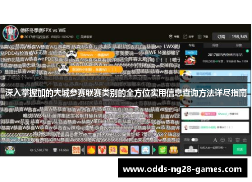 深入掌握加的夫城参赛联赛类别的全方位实用信息查询方法详尽指南