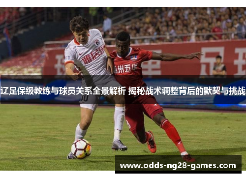 辽足保级教练与球员关系全景解析 揭秘战术调整背后的默契与挑战