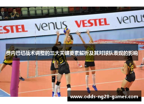 费内巴切战术调整的三大关键要素解析及其对球队表现的影响